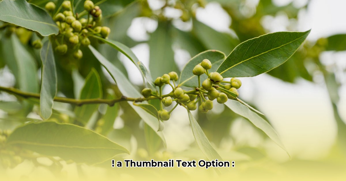 laurel-holloman-net-worth